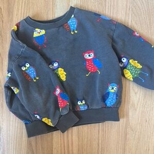 Mini Boden owl Sweatshirt 5-6